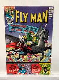Fly Man - Primary