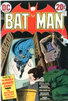 Batman - Primary
