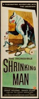 Incredible Shrinking Man 1957 - Primary