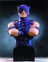 Hawkeye Bust - Primary