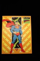 Superman Puzzle Set  - Primary